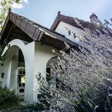 Extra Large House With Big Garden, Sauna Feriehus *